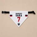 Barkayo Pet Bandana