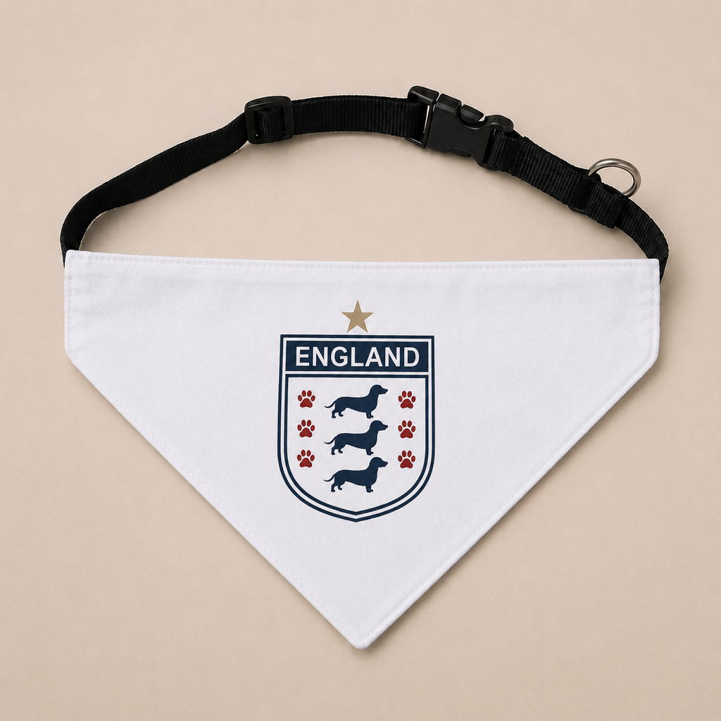 England Reversible Pet Bandana