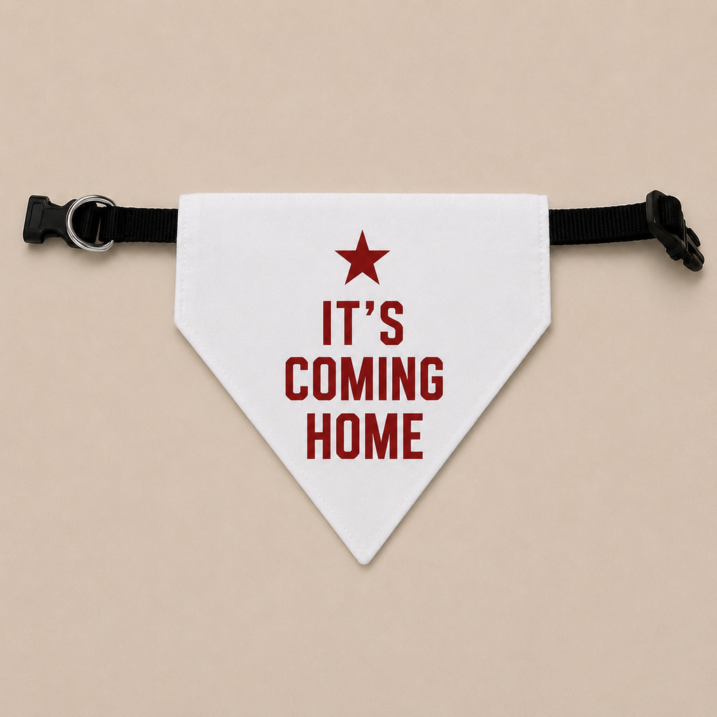 England Reversible Pet Bandana